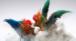 chơi cá cược đá gà